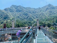 -梦幻奥陶纪景区