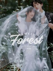 点击看大图 -至臻微拉婚纱摄影