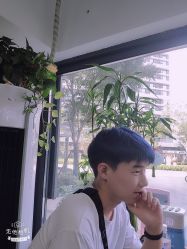 -缪斯造型Muse style