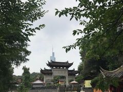 -鸡鸣赐茶(鸡鸣寺路店)