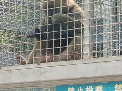-黔灵山公园