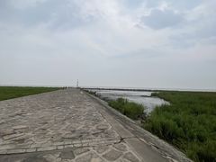 -南汇嘴观海公园