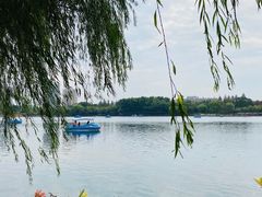 -莫愁湖公园