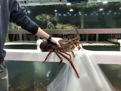 -悉尼鱼市场