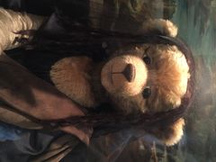 泰迪熊博物馆-济州岛泰迪熊博物馆