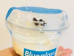 -Blueglass酸奶(财富购物中心店)