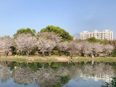 -堤角公园