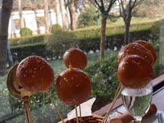 -新川办餐厅