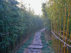 -竹子庵公园