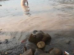 -重庆市江北嘴中央商务区中央公园