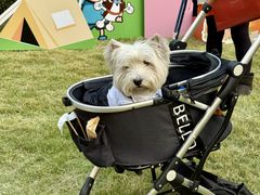 -上海神旺大酒店