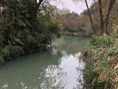 -西溪国家湿地公园