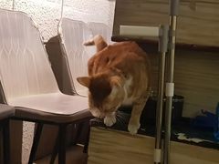 -逃脱反斗城沉浸剧情密室(北京路店)