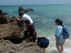 -玫瑰海岸文化旅游度假区