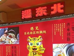 -遇东北林区铁锅炖(南开店)