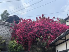 -燊海井