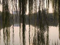 -南翠屏公园