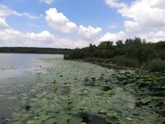 -丁香湖公园