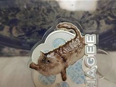 -霸王茶姬(凯德大峡谷店)