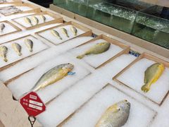 -同庆楼(奥体中心店)