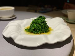 鸡油炒豆苗尖-成隆行·蟹王府(九江路店)
