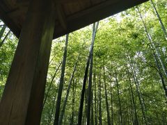 -重庆雨台山风景区