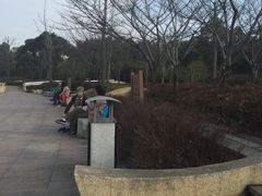 -新江湾城公园