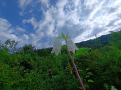 -秦岭风景区