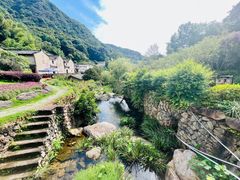 -雁南飞茶田景区