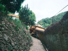 -杨家堂村