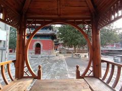 -大觉寺-停车场
