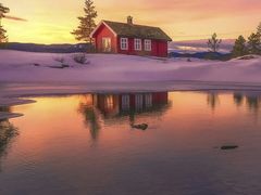 -南汇水蜜桃采摘(大团店)