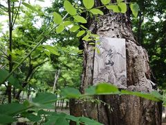 -圣莲山风景区