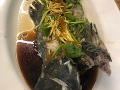 石斑鱼-拉威海鲜市场