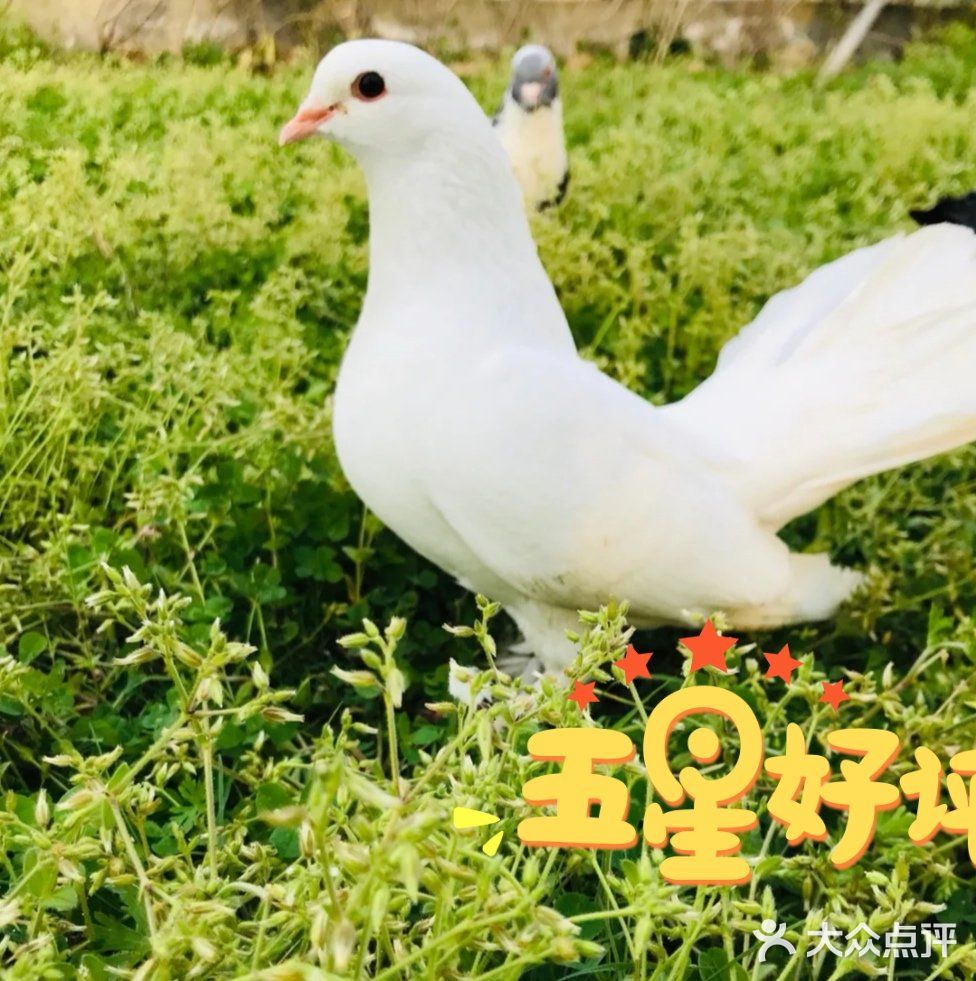 不可错过的亲子游乐