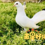 不可错过的亲子游乐