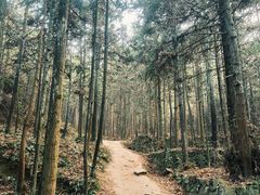 -大罗山风景区