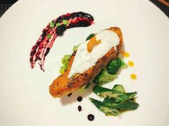 -百好乐宠物友好餐厅(朝外大街店)