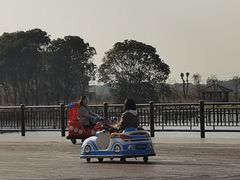 -鹅湖玫瑰文化园