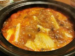 -乳仔牛牦牛汤锅 烤羊排(松潘古城店)
