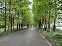 -石湖景区