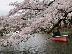 -井之头恩赐公园