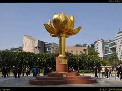 -金莲花广场