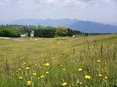 -玉舍国家森林公园