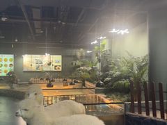 -上海大自然野生昆虫馆(东方明珠·爬宠昆虫探索中心)