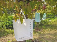-径山花海