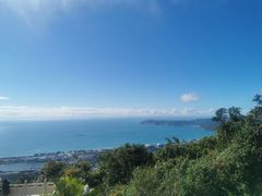 -亚龙湾热带天堂森林公园