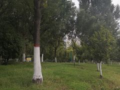 -淇河金沙滩