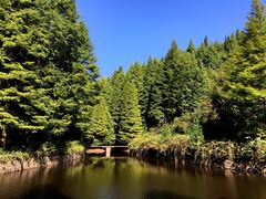 -山王坪喀斯特国家生态公园