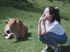 -大姆山草场